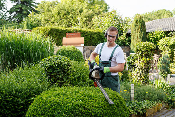 Best Tree Mulching  in Garden City, NY